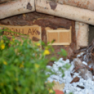 VI. Apró kezek, Csodakertek Gyermek Kertépítő verseny (Fotó: Bánhegyi István)