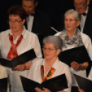 Jótékonysági műsor a Családok Átmeneti Otthona javára (Fotó: Nagy Mária)