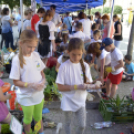 VII. Apró kezek, csodakertek Gyermek Kertépítő verseny