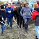 Kőrisfacsemetéket ültettek a diákok a Nolato Magyarország Kft telephelyén
