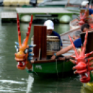 Voluta 2 nap (Fotó: Stipkovits Veronika és Bánhegyi István)