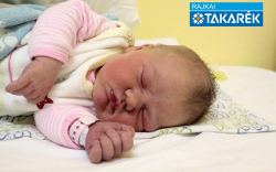 Puskás Adél, Mosonmagyaróvár