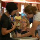 XII. Szigetköz ízei, Vármegye borai Fesztivál 3. nap