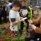 Lackfi János Mosonmagyaróváron