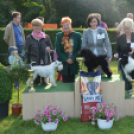 CAC kutyakiállítás (Fotó: Nagy Mária)