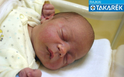 Jánó Ármin, Mosonmagyaróvár