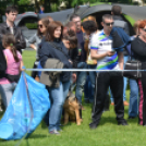 CAC kutyakiállítás (Fotó: Nagy Mária)