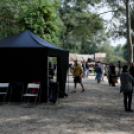 Vándorszínészek Dunaszigeten (Fotó: Horváth Attila)