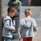 Belvárosi virágút (Fotó: Nagy Mária)