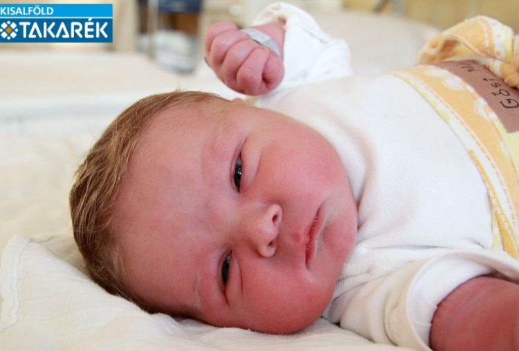 Gősi Márk, Tárnokréti