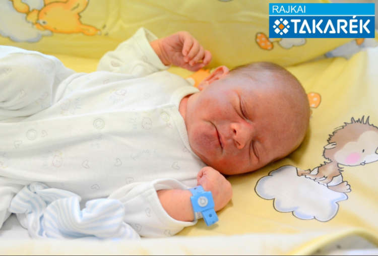 Kiss Botond, Mosonmagyaróvár