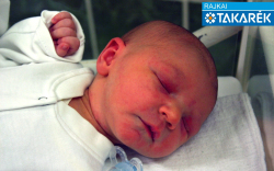 Rigó Nimród, Mosonmagyaróvár