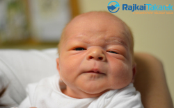 Cseh Martin Noel, 3730 gr. Darnózseli