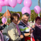 Lajta hídi séta 2015 (fotó: Patács Judit)