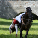 XII. Szigetköz ízei, Vármegye borai Fesztivál 2. nap