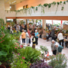 Legszebb konyhakertek (Fotó: Nagy Mária)