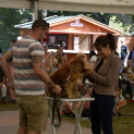 XII. Szigetköz ízei, Vármegye borai Fesztivál 3. nap