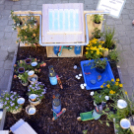 VII. Apró kezek, csodakertek Gyermek Kertépítő verseny