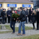 2015. MÁRCIUS 15. Mosonmagyaróvár (Fotó: Horváth Attila)