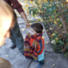 Összefogás a mosonmagyaróvári családokért …