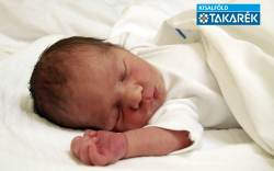 Ocskay Ábel, Mosonmagyaróvár