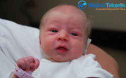 Simon Csenge, 2840 gr. Mosonszentmiklós