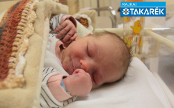 Enzsöl Dávid, Károlyháza