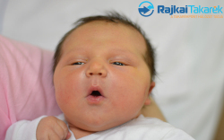 Köplinger Nikolasz, 4890 gr. Móvár