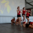 Szigetköz ízei, Vármegye borai Fesztivál 3 nap, 140 Éves Mosonmagyaróvár Város Tűzoltósága (Fotó: Bánhegyi István)