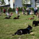 A mosonmagyaróvári kutyafuttató megnyitója