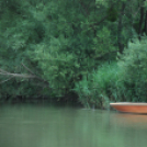 Halgazdálkodási törvény sajtótájékoztatója (Fotó: Nagy Mária)