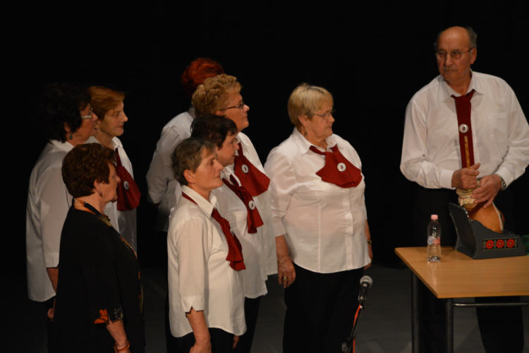 Jótékonysági műsor a Családok Átmeneti Otthona javára (Fotó: Nagy Mária)