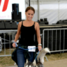 XI. Szigetköz ízei, Vármegye borai Fesztivál 3. nap 