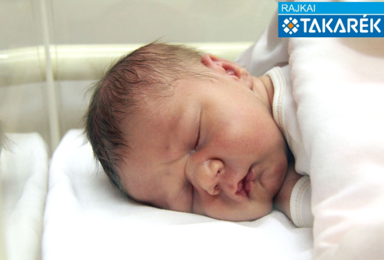 Molnár Ármin Zalán, Mosonmagyaróvár