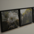 Művésztalálkozó (Fotó: Nagy Mária)