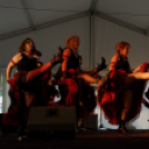 Első Engler Családi Nap (Fotó: Horváth Attila)