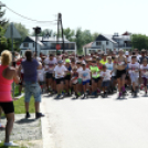 XV. Greiner Szigetköz Félmaraton