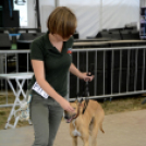 XI. Szigetköz ízei, Vármegye borai Fesztivál 3. nap 