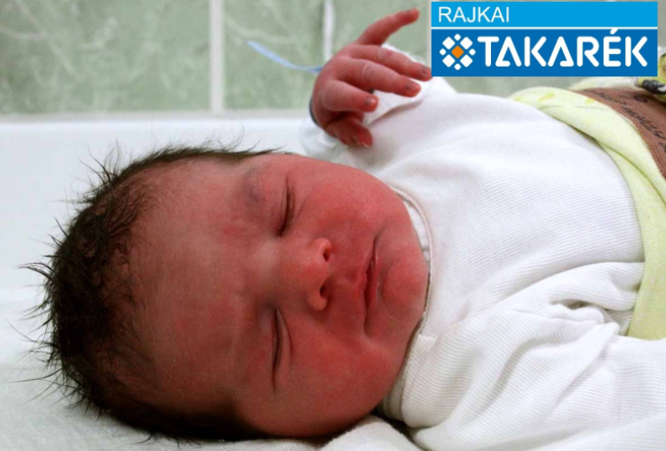 Varga Ádám Sándor, Kisbodak