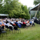 Tiszta Amerika - Vár-tó party