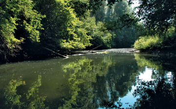 Elindul a szigetközi Duna-projekt