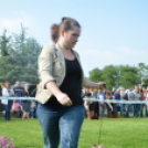 CAC kutyakiállítás (Fotó: Nagy Mária)