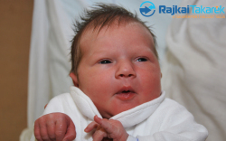 Walde Lilien, 3120 gr. Mosonmagyaróvár