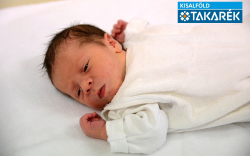 Kovacsics Noé, Darnózseli