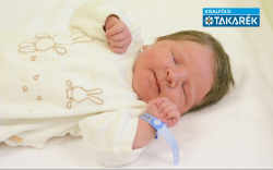 Slámer Bence, Halászi