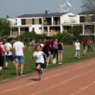 XV. Greiner Szigetköz Félmaraton