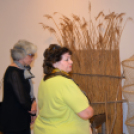 A Kisalföld szolgálómestere - dr. Timaffy László Emlékkiállítás (Fotó: Bánhegyi István)