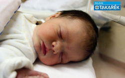 Hegedűs Tamás Zoltán, Sopronnémeti