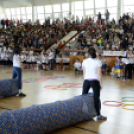 XXII. Városi Óvodás Sportnap