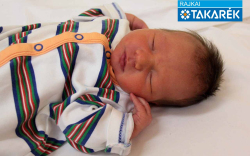 Horváth Erika, Mosonmagyaróvár